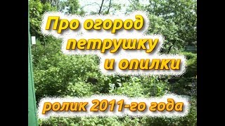 Про огород, петрушку и опилки