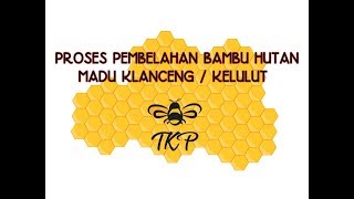 Proses pembelahan bambu madu klanceng / kelulut hasil dari hutan probolinggo 23/02/2019