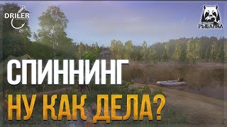 Проверка спина. Как сейчас ловится на спиннинг. Спиннинг на Куори и Волхове. Стрим Русская рыбалка 4