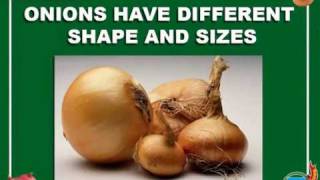 TECNOCEAM ONION PEELER