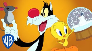 Looney Tunes in italiano ???????? | Acquisti di Natale con Titti e Silvestro 