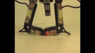 An Affordable, Adaptable, Resilient, Robust Robotic Hand