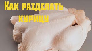Разделываем курицу. Как разделать курицу. Курица на части. Как резать курицу
