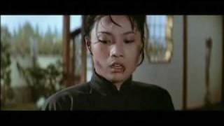 Hapkido - Angela Mao action