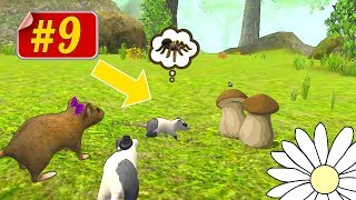 ОБСТАВИЛИ НОРУ И ЗАВЕЛИ 2го МЫШОНКА: игра СИМУЛЯТОР МЫШИ #9