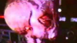 ALIEN VIVO INCREIBLE!!!!!