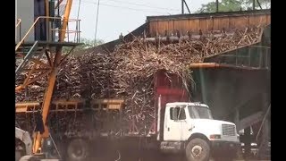 EL AGRO - POLÉMICA ENTRE PRODUCTORES E INGENIOS AZUCAREROS