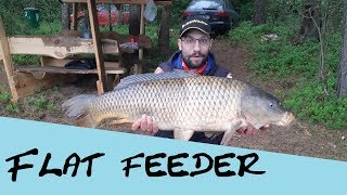 Ловля карпа на флэт фидер, Flat Feeder, платник Заборье. Карп 9500