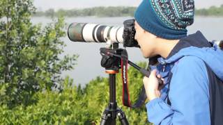 入門鳥攝腳架Manfrotto 701HDV雲台/Gitzo 2號腳架-Manfrotto HK