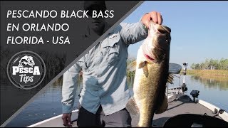 Pescando blackbass en Miami - USA con mi papá.