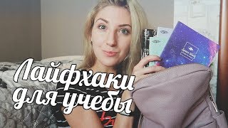 10 советов студентам и школьникам | cutebookmess