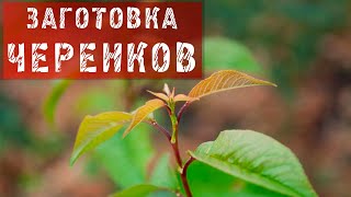 "уДачное настроение" № 60. 2012.