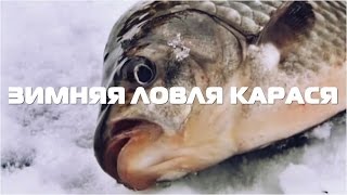 Зимняя ловля Карася | Технология зимнего клева