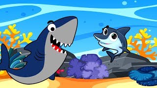 Песенки для детей - Акуленок - Мультфильмы для малышей