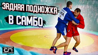 Задняя подножка, как первый бросок для начинающего самбиста 2