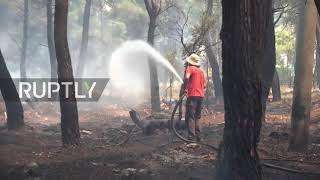 Greece: Firefighters battle wildfires in Athens suburbs