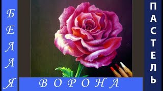 Как нарисовать РОЗУ сухой ПАСТЕЛЬЮ. Пастельные карандаши.