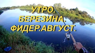 Утро.Река В.Березина.Фидер.Август 2018.