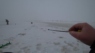 Рыбалка в марте 2019. Клюёт на каждом опускании мормышки