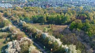 Любимый Харьков: Саржин яр - канатная дорога, лето 2018