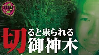【心霊配信(怖い動画)】衝撃の現場から辿り着いたのは『切れない御神木』【全国心霊スポット配信の旅 in 北海道 #20】