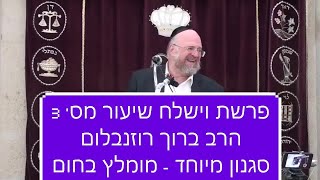 הרב רוזנבלום וישלח 3 HD שיעור ברמה גבוהה על פרשת וישלח מאת הרב רוזנבלום 3 rabbi rosenblum vayishlach