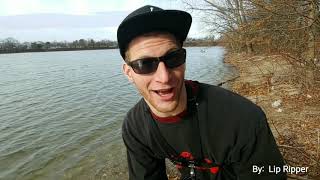 I TROUT fished Chartered one of my Subscribers.. Ripped tons of Lips Lady and Gents (Levittown Lake)