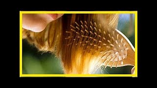Cómo controlar la caída del pelo