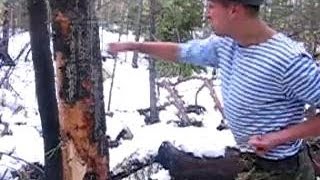 ▶ Кулаком сломать дерево. Тайны спецназа