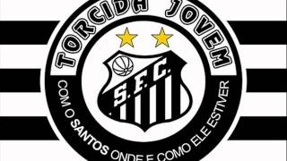 Uma História Marcante - TORCIDA JOVEM DO SANTOS