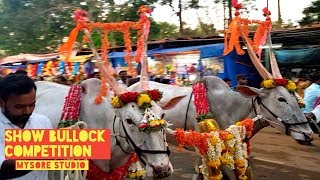 Largest Cattle Fair  Show Bullock Competition Sutturu Jatra Danada Jatra