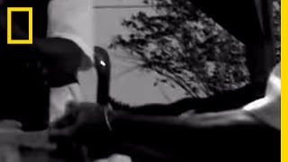 Self Stabbing | National Geographic