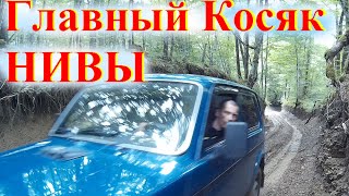 Самый Большой КОСЯК! НОВОЙ НИВЫ 2020 Lada 4x4. Все Недостатки Lada 4x4 О чём врут блогеры 1с