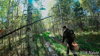 Сбор грибов в сентябре 2019!!!Грибы на каждом шагу)))Mushroom picking