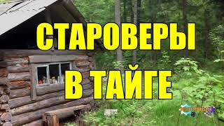 СТАРОВЕРЫ СИБИРИ | ЖИЗНЬ В ТАЙГЕ