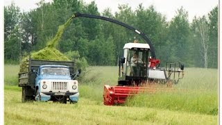 farming simulator 2015 courseplay косим траву на корм коровам