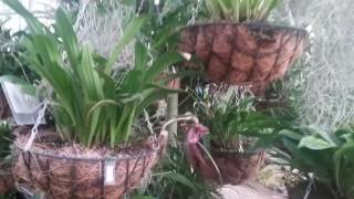 Vlog #3: Visita al Jardín Botanico de Quito