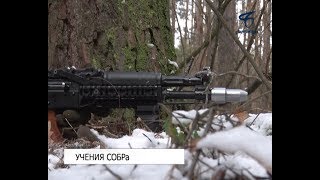 Сводный отряд быстрого реагирования «Белогор» разыскал и ликвидировал условных террористов