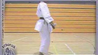 Unshu Shito Ryu
