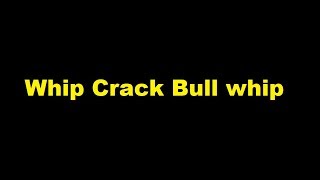 Whip Crack Bull whip -  sound effect
