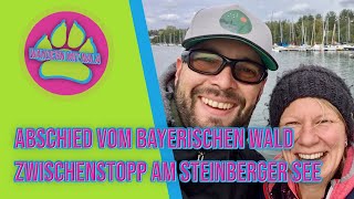 Abschied vom bayerischen Wald - Zwischenstopp am Steinberger See  - Wandern mit Hund ?