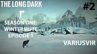 Движемся по следу Астрид | The Long Dark Stоry Mode Ep.1 #2 | PC 60FPS #VVTLD