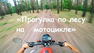 По лесу на Мотике. Езда по бездорожью.