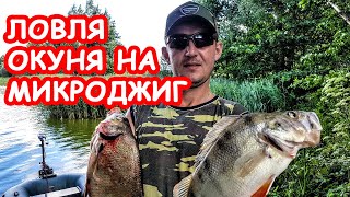 Ловля окуня на микроджиг. Рудея