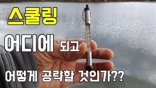 배스낚시  스쿨링 스쿨링은 어디에 나타나며 어떻게 공략하는게 좋을까??