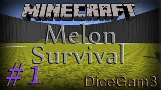 MineCraft Melon Survival #1