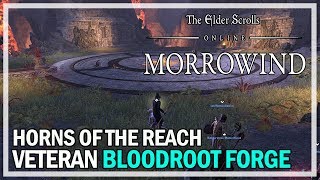 Veteran Bloodroot Forge Dungeon - Horns of the Reach Gameplay ESO