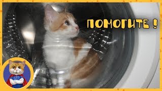 РЫЖИКА ПОСТИРАЛИ