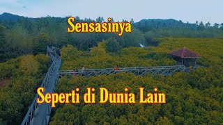 Pesona Ekowisata Mangrove Trenggalek