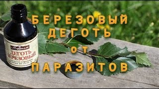 Избавляйся от ПАРАЗИТОВ. БЕРЕЗОВЫЙ  ДЕГОТЬ.